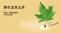 艾草越嫩越好，還是越久越好？悄悄告訴你：艾草這樣用，效果最好！