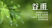 【二十四節(jié)氣灸】谷雨時節(jié)，用艾為您的健康加上一道保險！