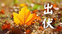 【三伏養(yǎng)生】出伏后做好養(yǎng)生很關(guān)鍵！一行要注意！