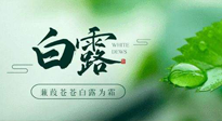 【二十四節(jié)氣灸】白露涼爽，養(yǎng)心肝脾胃、滋陰潤(rùn)肺是關(guān)鍵！