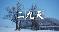 【三九養(yǎng)生】冬二九，扶陽補腎氣，讓你陽氣充足一整年！
