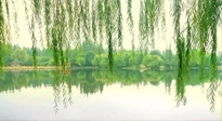【養(yǎng)生知識(shí)】已入五九，六九將至，五九的養(yǎng)生秘訣，你知道嗎？