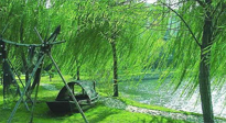 【養(yǎng)生知識(shí)】元宵入六九，春季已至，六九天的養(yǎng)生知識(shí)你知道多少？