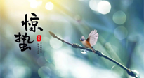 【二十四節(jié)氣灸】驚蟄節(jié)氣，艾灸喚醒抵抗力、補充陽氣的最好時機！
