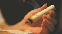 【艾灸知識】春暖花開，衣衫漸薄，再不減肥，身上的肉肉可藏不住了！