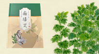 【行業(yè)資訊】國內(nèi)首部艾草專著《南陽艾》，在南陽新書首發(fā)！