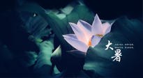 【二十四節(jié)氣灸】趁大暑好好艾灸，才不辜負(fù)三伏天的驕陽！