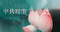 【艾灸三伏天】中伏：三伏灸的關(guān)鍵轉(zhuǎn)折點(diǎn)！“灸”除病根的大好時(shí)機(jī)！