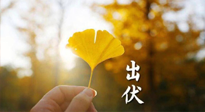 【艾灸三伏天】出伏啦！三防三宜兩穴位，防止身體“秋后算賬”！