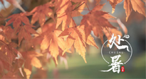 【二十四節(jié)氣灸】處暑，冬病夏治倒計時！秋涼真的要來了！