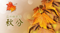 【二十四節(jié)氣灸】秋分節(jié)氣，平衡陰陽，巧用艾灸，潤燥養(yǎng)肺是關(guān)鍵！