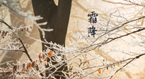 【二十四節(jié)氣灸】霜降節(jié)氣：艾灸四穴，護(hù)您冬天安然無恙！