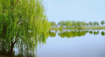 【艾灸知識】春三月，必艾灸穴位：疏肝理氣，養(yǎng)血調(diào)神！