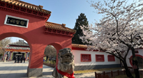 【行業(yè)資訊】新華財經(jīng)：守正創(chuàng)新，中醫(yī)藥品牌化發(fā)展“更上一層樓”！