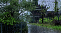 【艾灸知識】多雨的日子里，艾灸會不會加重濕氣呢？