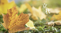 【節(jié)氣養(yǎng)生】甲辰立秋，“2做”、“2不做”，護(hù)好我們身體的正氣，預(yù)防外邪的侵襲！
